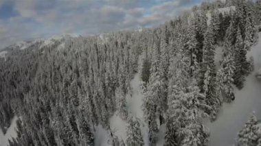 Kanada Rocky Dağı Kanada 'daki British Columbia' da karla kaplı. Bulutlu Günbatımı Gökyüzü. Hava Uçuşu