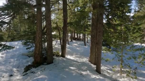 Sendero Cubierto Nieve Durante Soleado Día Primavera Squamish Columbia Británica — Vídeo de stock