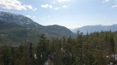 Yeşil Ağaçlar, Kanada Dağ Manzarası, Güneşli Bahar Mevsimi Gökyüzü. Hava görüntüsü. Squamish, British Columbia, Kanada.