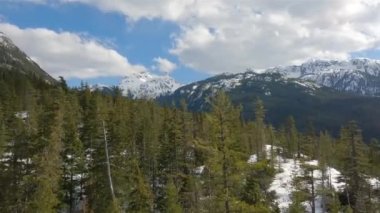 Yeşil Ağaçlar, Kanada Dağ Manzarası, Güneşli Bahar Mevsimi Gökyüzü. Hava görüntüsü. Squamish, British Columbia, Kanada.