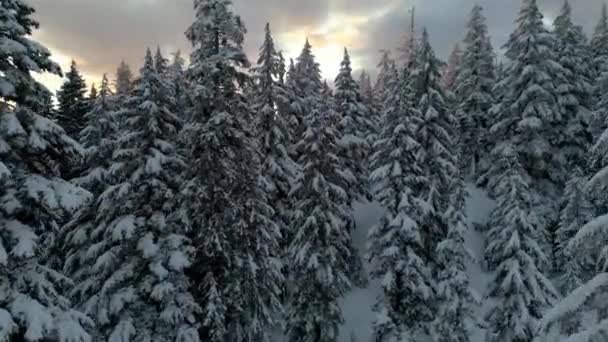 Kanadensiskt Bergslandskap Täckt Snö Flygfoto Natur Bakgrund Nära Vancouver British — Stockvideo