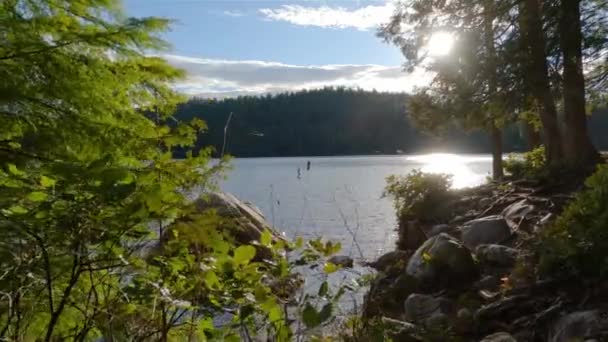 Солнечный Свет Озере Фамат Канадская Природа Лембелл Порт Муди Ванкувер — стоковое видео