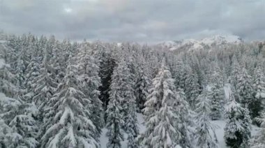 Karla kaplı Kanada Dağ Manzarası. Hava Doğası Arkaplanı. Vancouver yakınlarında, British Columbia, Kanada. Günbatımı Gökyüzü.