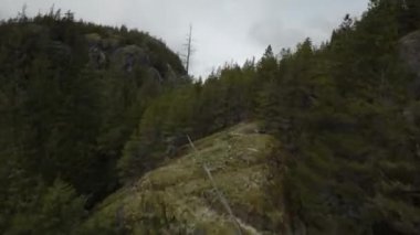 Kanada 'nın Britanya Kolumbiyası, Kanada' da Kanada Rocky Dağı manzarası tarafından yapılan hava uçuşu. Bulutlu Gökyüzü.