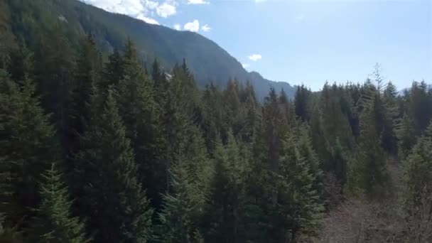 Zielone Drzewa Kanadyjski Krajobraz Górski Sunny Spring Season Sky Widok — Wideo stockowe