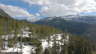 Yeşil Ağaçlar, Kanada Dağ Manzarası, Güneşli Bahar Mevsimi Gökyüzü. Hava görüntüsü. Squamish, British Columbia, Kanada.