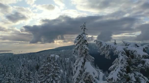 Canadees Berglandschap Bedekt Met Sneeuw Luchtfoto Natuur Achtergrond Vlakbij Vancouver — Stockvideo