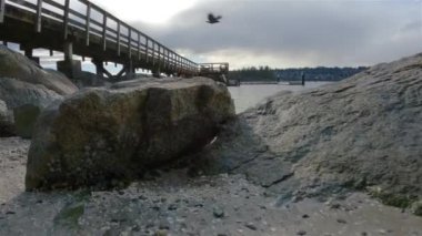 Indian Arm, Vancouver, British Columbia, Kanada 'da kayalık bir sahilde tahta iskele. Belcarra İskelesi, Pasifik Okyanusu 'nun batı kıyısı. Bahar mevsimi güneşli bulutlu bir akşam. Yavaş Hareket