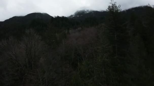 Flug Durch Die Kanadische Rocky Mountain Landschaft British Columbia Kanada — Stockvideo