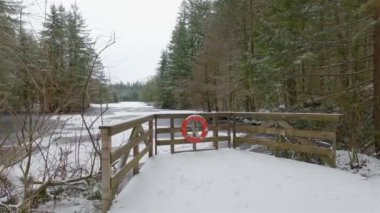 Rice Gölü 'nün yanında beyaz karlı Orman Yürüyüş Yolu. Kuzey Vancouver, British Columbia, Kanada. Kış Sezonu