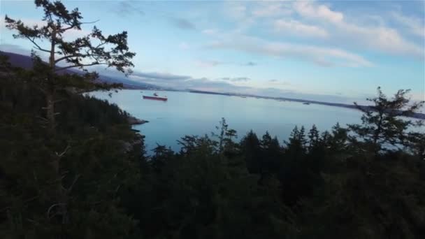 Bäume Und Felsige Küste Der Westküste Des Pazifischen Ozeans Leuchtturmpark — Stockvideo
