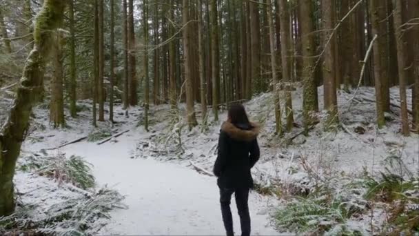 アドベンチャーウーマンライスレイクの白い雪と森の中の風景ハイキングトレイルを歩く カナダのブリティッシュコロンビア州ノースバンクーバー 冬の季節 — ストック動画