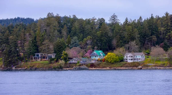 Homes Pacific Ocean Coast Nanaimo Vancouver Island British Columbia Canada — Stock Photo, Image