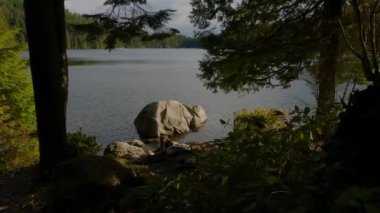 Sasamat Gölü 'nde Sunny Evening sırasında ormanda Manzaralı Yürüyüş Patikası, Kanada Doğa. Port Moody, Vancouver, BC, Kanada.