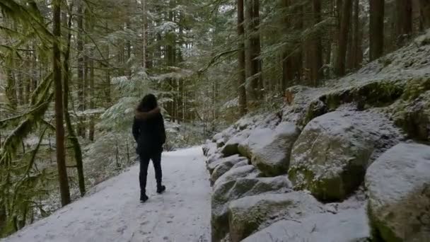 アドベンチャーウーマンライスレイクの白い雪と森の中の風景ハイキングトレイルを歩く カナダのブリティッシュコロンビア州ノースバンクーバー 冬の季節 — ストック動画
