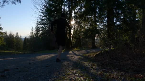 大人の白人男性に合う森の緑の木の歩道を走っています バンクーバー ブリティッシュコロンビア州 カナダのバーナビー山の上 スポーツ レクリエーション フィットネスの概念 スローモーション — ストック動画