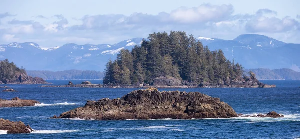 Rocky Shoreline Csendes Óceán Nyugati Partján Ucluelet Vancouver Sziget Kanada — Stock Fotó