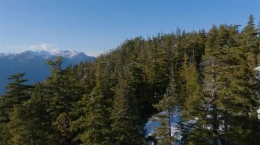 Kanada Doğa Manzarası Yukarıdan Arka plan Görünümü. Squamish, BC, Kanada. Havadan Sinema Panosu.