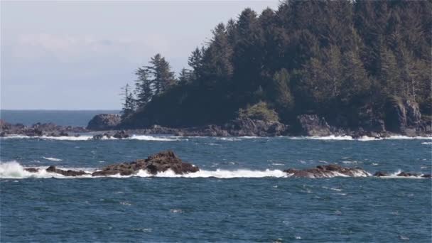 Rocky Shoreline Sur Côte Ouest Océan Pacifique Ucluelet Île Vancouver — Video