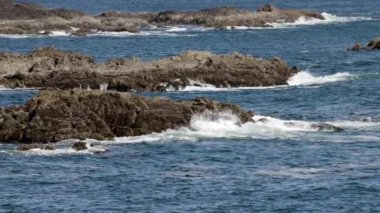 Pasifik Okyanusu 'nun batı kıyısındaki Rocky Shoreline. Ucluelet, Vancouver Adası, BC, Kanada. Kanada Doğa Arkaplanı. Yavaş Hareket