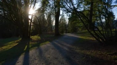 Sunny Spring Season Sunset sırasında Burnaby Dağı 'nın tepesinde yürüyüş patikası. Vancouver, British Columbia, Kanada.