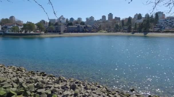 莫登城市公园的风景 阳光灿烂的一天 加拿大不列颠哥伦比亚省温哥华False Creek的Granville岛 慢动作电影 — 图库视频影像