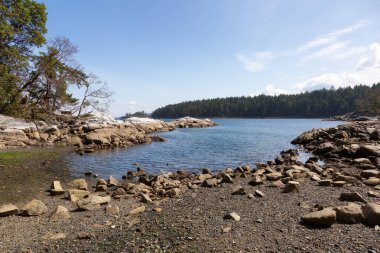Nanoose Körfezi 'ndeki Pasifik Okyanusu' nun batı kıyısındaki Rocky Shore. Vancouver Adası, British Columbia, Kanada. Güneşli Gökyüzü. Kanada Doğa Arkaplanı