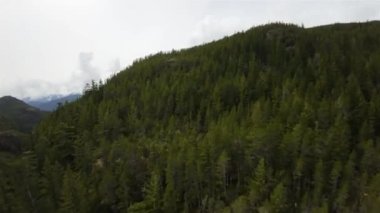 Kanada 'nın British Columbia şehrinde Kanadalı Rocky Dağı' ndan Fast Aerial Flight. Bulutlu Gökyüzü. Bahar sezonu