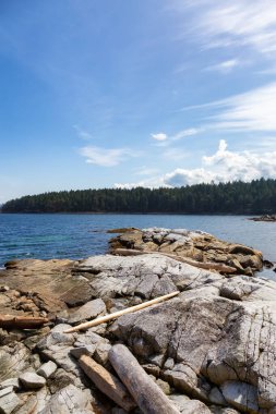 Nanoose Körfezi 'ndeki Pasifik Okyanusu' nun batı kıyısındaki Rocky Shore. Vancouver Adası, British Columbia, Kanada. Güneşli Gökyüzü. Kanada Doğa Arkaplanı