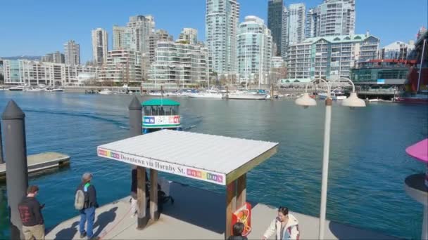 加拿大不列颠哥伦比亚省温哥华市中心 2023年3月30日 位于格兰维尔岛 Granville Island 的小渡船 背景为城市景观 艳阳天 — 图库视频影像