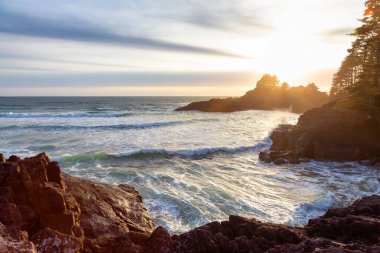 Tofino 'daki Pasifik Okyanusu' nun batı kıyısındaki Rocky Shore. Vancouver Adası 'ndaki Cox Bay, British Columbia, Kanada. Günbatımı Gökyüzü.