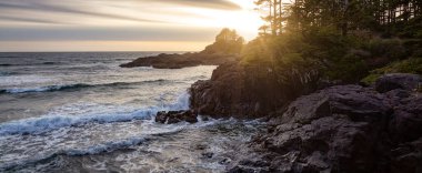 Tofino 'daki Pasifik Okyanusu' nun batı kıyısındaki Rocky Shore. Vancouver Adası 'ndaki Cox Bay, British Columbia, Kanada. Günbatımı Gökyüzü Sanatı Görüntüleyici.