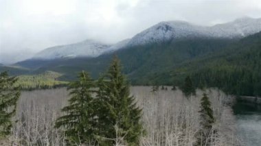 Kanada Dağ Manzarası ve Nehir Havadan Görünümü. Vancouver Adası, British Columbia, Kanada 'da çekilmiş. Doğa Arkaplanı. Sinematik
