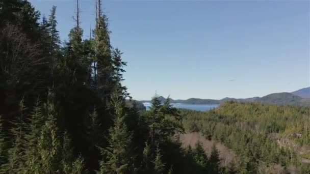 Luchtfoto Van Groene Bomen Het Canadese Berglandschap Het Meer Genomen — Stockvideo