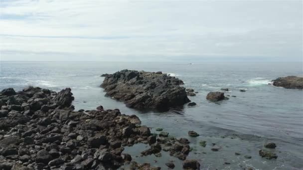 Felsige Küste Der Kanadischen Westküste Des Pazifischen Ozeans Sonniger Tag — Stockvideo