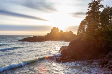 Tofino 'daki Pasifik Okyanusu' nun batı kıyısındaki Rocky Shore. Vancouver Adası 'ndaki Cox Bay, British Columbia, Kanada. Günbatımı Gökyüzü.