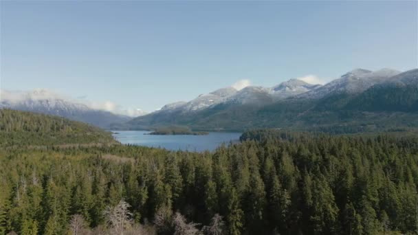 Veduta Aerea Del Paesaggio Montano Canadese Del Lago Preso Nell — Video Stock