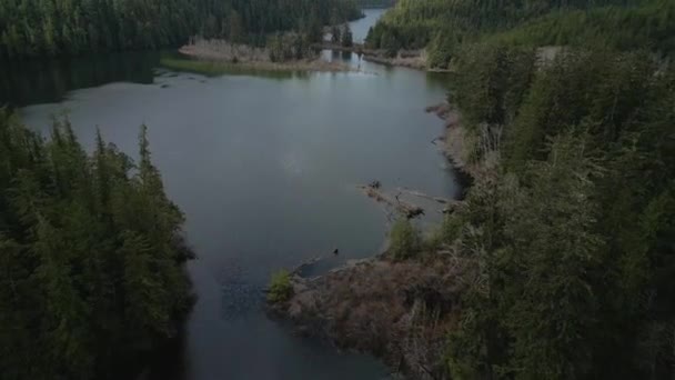 カナダの山の風景や湖の空中ビュー カナダのブリティッシュコロンビア州バンクーバー島で撮影 自然背景 — ストック動画