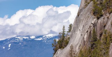 Rocky uçurumları Squamish, BC, Kanada 'daki Chief Mountain' da. Doğa Arkaplanı. Güneşli bir gün.