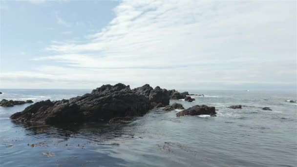 Rocky Shore Csendes Óceán Kanadai Nyugati Partján Napsütés Vancouver Sziget — Stock videók
