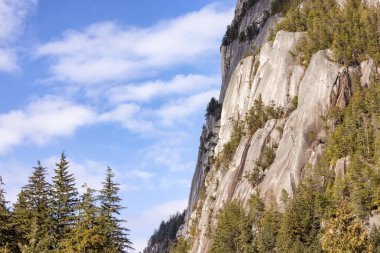 Rocky uçurumları Squamish, BC, Kanada 'daki Chief Mountain' da. Doğa Arkaplanı. Güneşli bir gün.