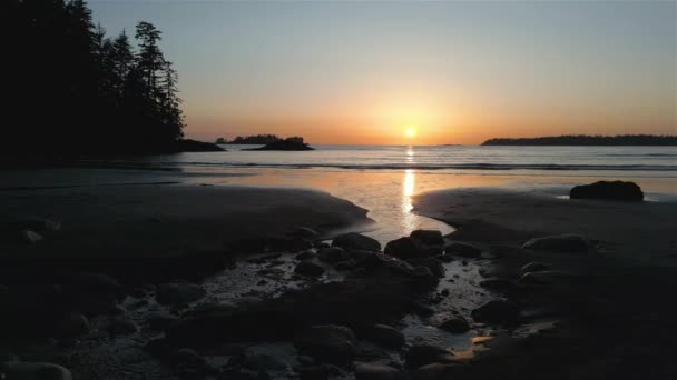 太平洋西海岸的沙滩 日落时分 在加拿大不列颠哥伦比亚省温哥华岛Tofino和Ucluelet附近 加拿大自然背景 电影制作 — 图库视频影像