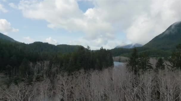 加拿大山景与树木的空中景观 于加拿大不列颠哥伦比亚省温哥华岛拍摄 自然背景 电影制作 — 图库视频影像