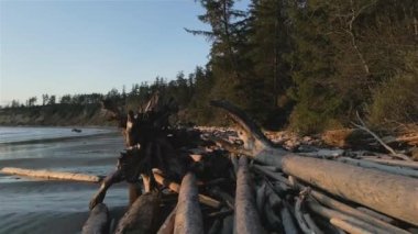 Pasifik Okyanusu 'nun batı kıyısındaki Sandy Beach Sunset' te. Tofino ve Ucluelet yakınlarında, Vancouver Adası, BC, Kanada. Kanada Doğa Arkaplanı. Sinematik