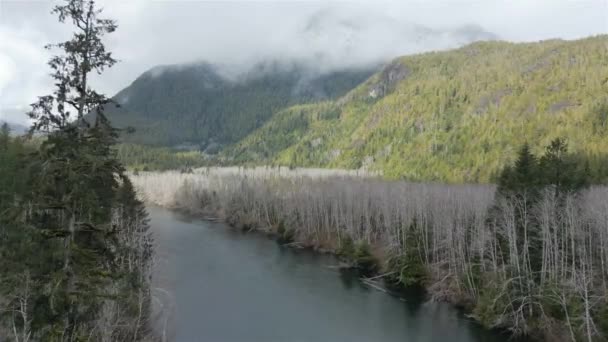 Αεροφωτογραφία Του Καναδικού Ορεινού Τοπίου Και Ποταμού Τραβήχτηκε Στο Νησί — Αρχείο Βίντεο