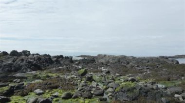 Rocky Shore, Kanada, Pasifik Okyanusu 'nun batı kıyısında. Güneşli bir gün. Ucluelet ve Tofino yakınlarındaki Vancouver Adası, British Columbia, Kanada.
