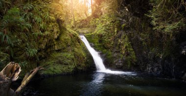 Doğa Ormanı 'nda şelale, güneşli bahar mevsimi. Goldstream Şelalesi, Victoria, Vancouver Adası, British Columbia, Kanada.