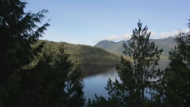 Luchtfoto Van Het Canadese Berglandschap Het Meer Genomen Vancouver Island — Stockvideo