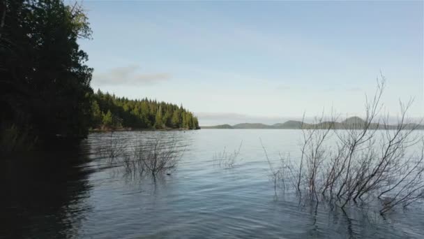 Luftaufnahme Der Kanadischen Gebirgslandschaft Und Des Sees Aufgenommen Vancouver Island — Stockvideo