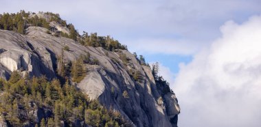 Rocky uçurumları Squamish, BC, Kanada 'daki Chief Mountain' da. Doğa Arkaplanı. Güneşli bir gün.